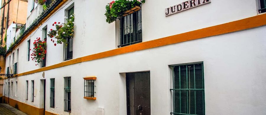 Seville in 1 Day Tour: Historic Center, Monuments, and Jewish Quarter - Palacio Arzobispal to the Judería: shifting from power to neighborhood life