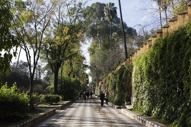 Seville in one day - Santa Cruz: crowded streets, sharp charm, and a guide who keeps it moving