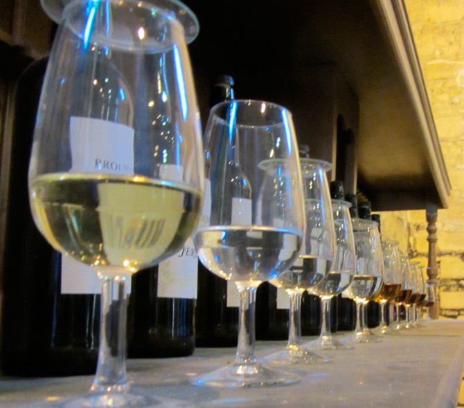 Seville: Jerez, Cadiz Wine Tasting with Optional Horse Show - Morning Pickup in Seville: Choose Your Meeting Point and Stay Flexible