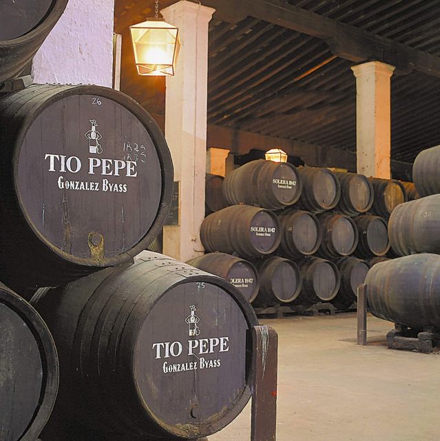 Seville: Jerez, Cadiz Wine Tasting with Optional Horse Show - Inside the Bodega: From Cellar Basics to Real Sherry Insights