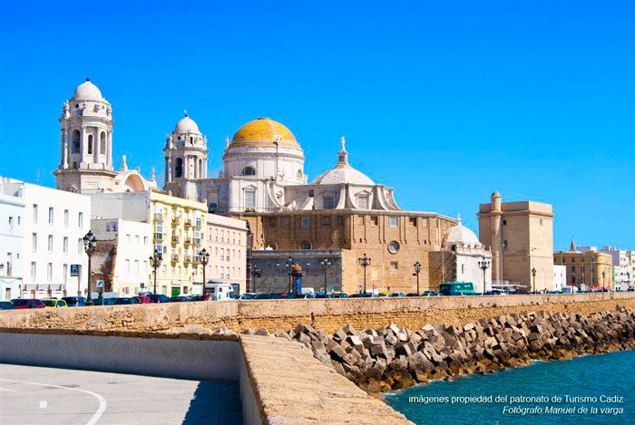 Seville: Jerez, Cadiz Wine Tasting with Optional Horse Show - Sherry Tasting 101: How to Compare Without Overthinking It