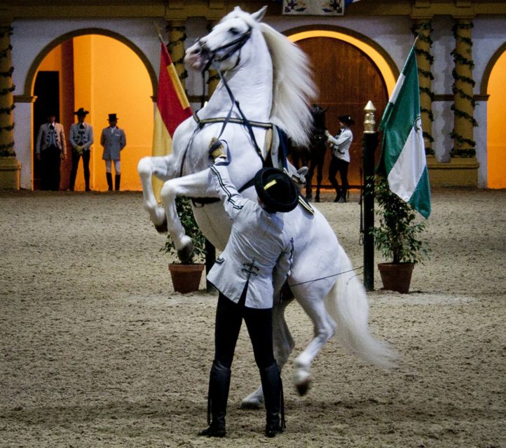 Seville: Jerez, Cadiz Wine Tasting with Optional Horse Show - Cádiz Cathedral and Old-Port Walking: How to Enjoy 3,000 Years in a Few Blocks
