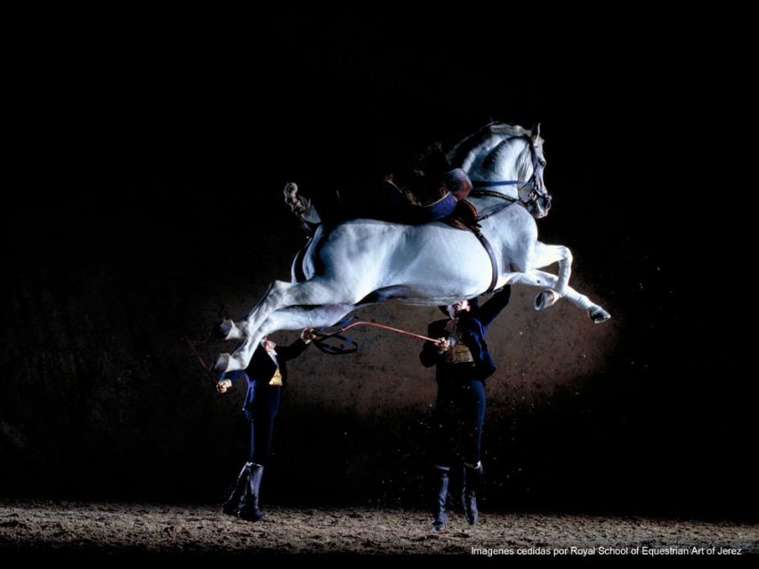 Seville: Jerez, Cadiz Wine Tasting with Optional Horse Show - Time, Transport, and the One Thing That Can Frustrate You