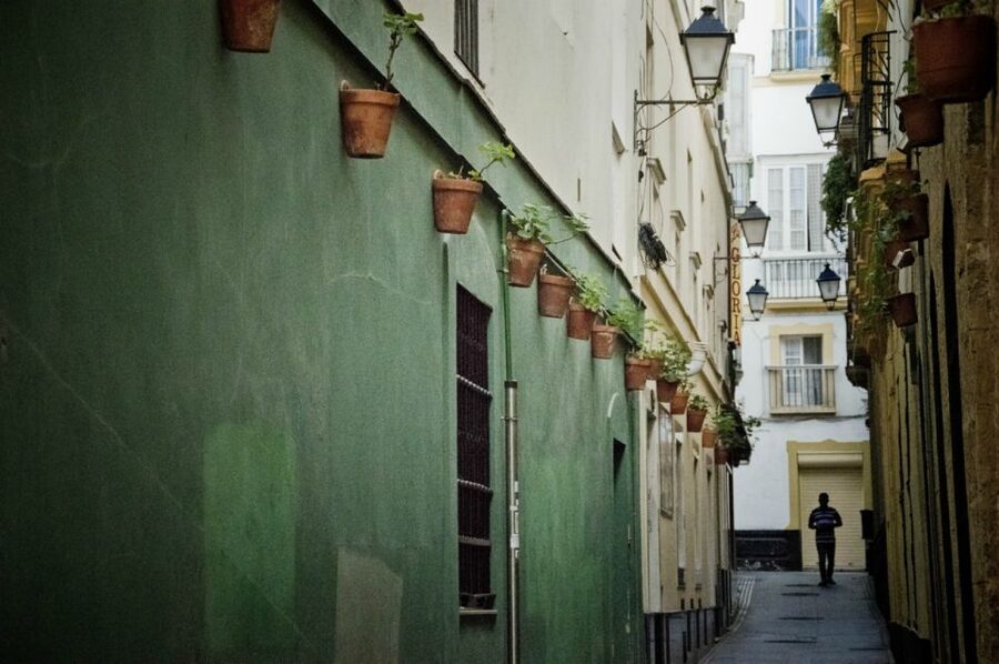 Seville: Jerez, Cadiz Wine Tasting with Optional Horse Show - Price and Value: $115 for Wine, Cellar Time, Guide, and the Option That Changes the Day
