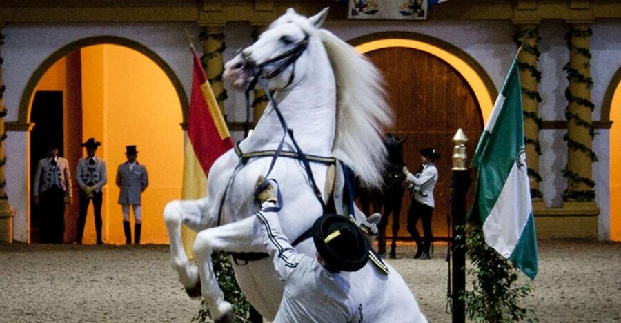 Seville: Jerez, Cadiz Wine Tasting with Optional Horse Show - The Coach Ride Down to Jerez: A Long Stretch You Can Use