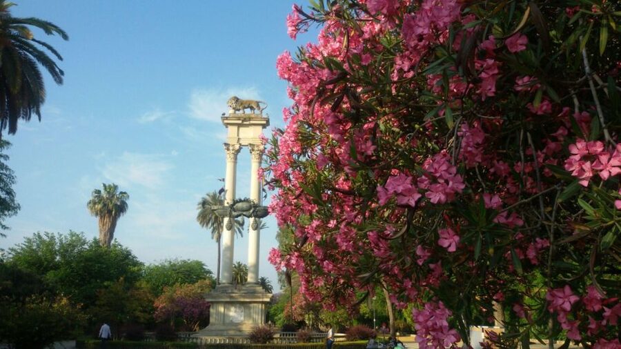 Seville Jewish Heritage Tour - Price and Value: $258 Per Group for a Focused, Guided 2-Hour Story