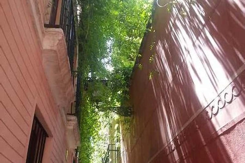 Seville: Jewish Quarter, History & Hidden Corners - Starting at San José and Santa María la Blanca, and why it matters