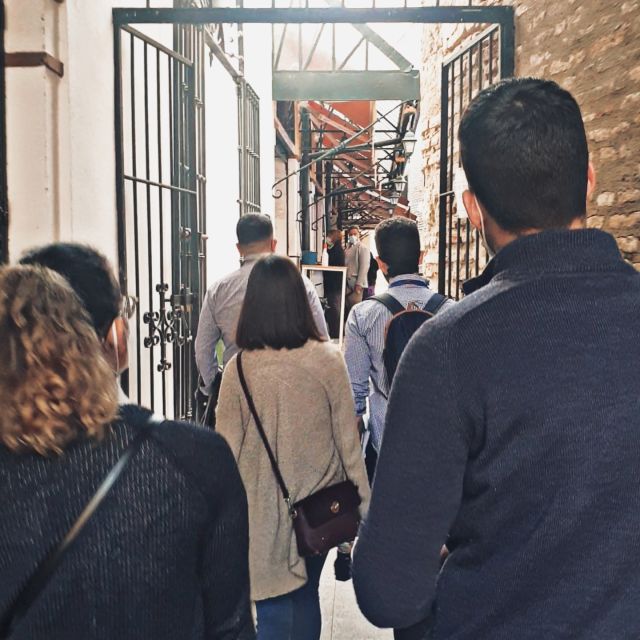 Seville Jewish Quarter walking tour: Santa Cruz District - Casa Murillo to Patio de Banderas: a satisfying finish point