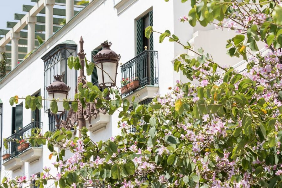 Seville Jewish Quarter walking tour: Santa Cruz District - Who this tour is best for