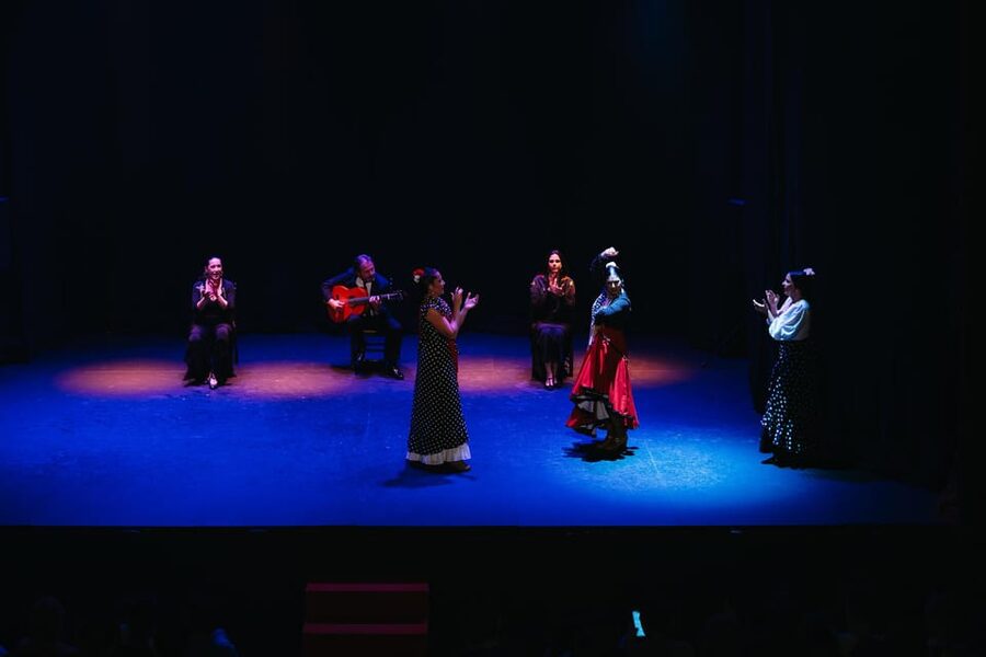Seville: Live Flamenco Dancing Show Ticket at the Theater - Should you book Teatro Flamenco Sevilla?