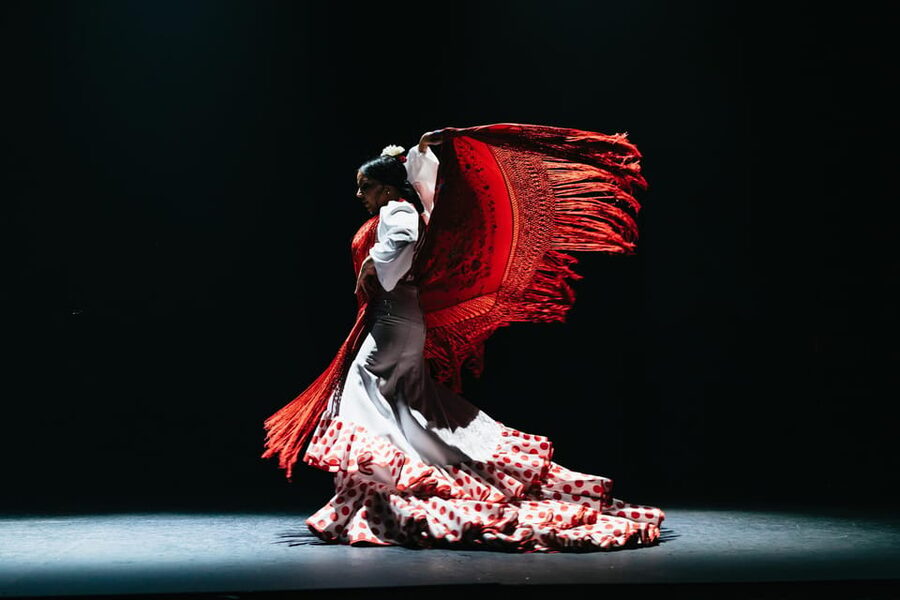 Seville: Live Flamenco Dancing Show Ticket at the Theater - What the 1-hour live show actually feels like