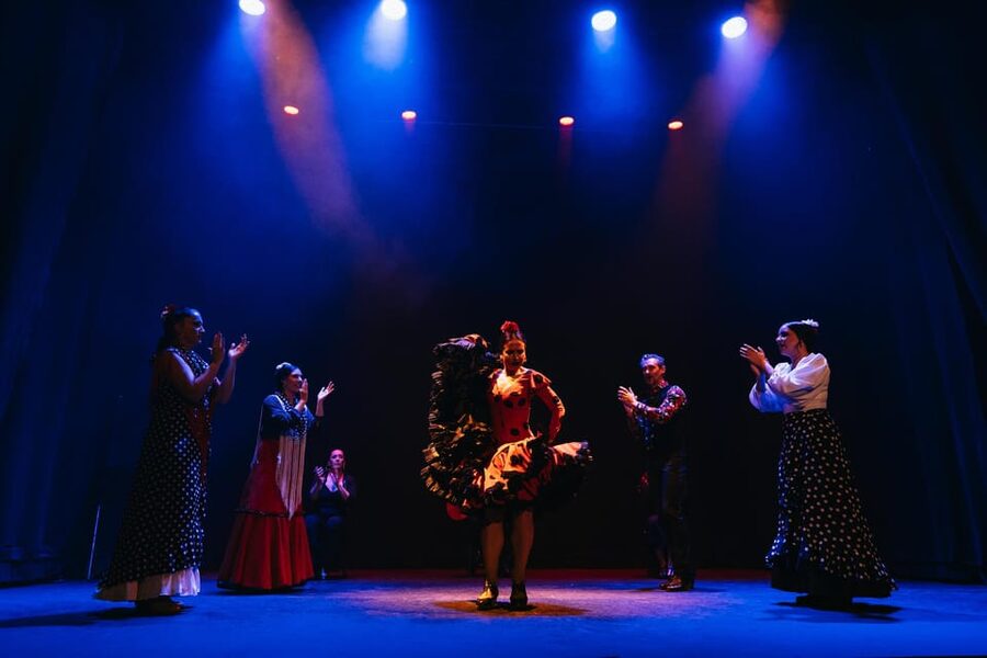 Seville: Live Flamenco Dancing Show Ticket at the Theater - Who this show is best for (and who should reconsider)