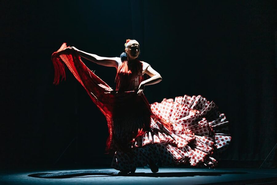 Seville: Live Flamenco Dancing Show Ticket at the Theater - Practical tips to get the best night in Seville