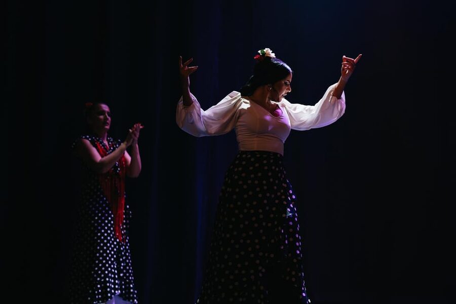 Seville: Live Flamenco Dancing Show Ticket at the Theater - Quick reality check: what you get (and don’t get)