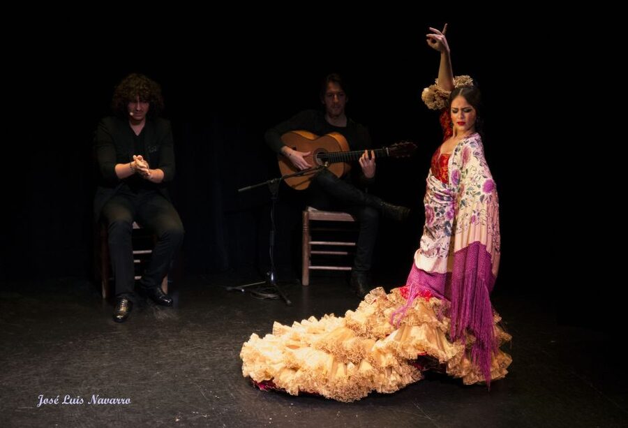Seville: Live Flamenco Show at "Teatro Flamenco Triana" - The 1-Hour Flamenco Program: How the Dancers, Singers, and Guitar Work Together