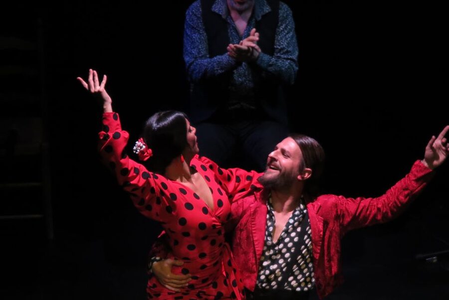 Seville: Live Flamenco Show at "Teatro Flamenco Triana" - The No-Photos Rule and Why It’s Worth Respecting