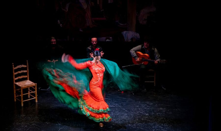 Seville: Live Flamenco Show at "Teatro Flamenco Triana" - Who Should Book Teatro Flamenco Triana (and Who Might Want Something Else)