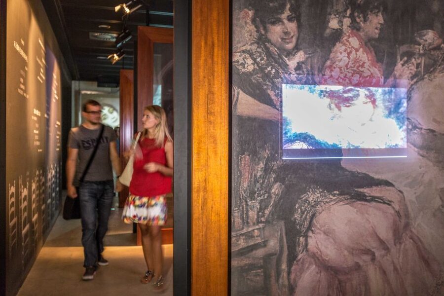 Seville: Museum of Flamenco Dance Admission Ticket - Where to find the Flamenco Dance Museum near Seville’s big sights