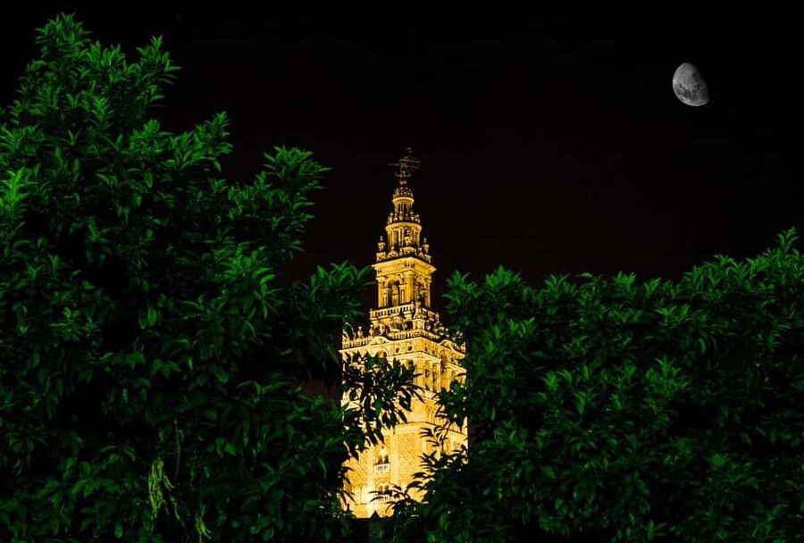 Seville Night Tour: A Must-Do - The Alcázar zone: kings and conspiracies without the museum fatigue