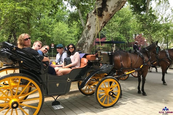 Seville Palaces: Dueñas Palace and Pilate House Tour - A smart way to cover Seville: carriage + palaces