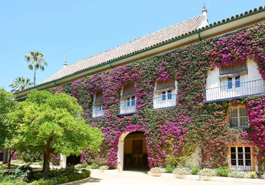 Seville: Palacio de Las Dueñas, La Macarena & Las Setas Tour - Why This North-Seville Walk Works in 3 Hours