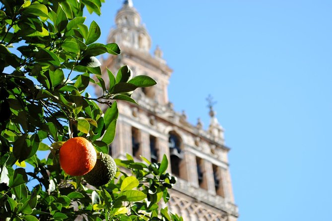 Seville Panoramic Walking Tour - Parque de María Luisa and Plaza de España: When the Walk Becomes a Reset