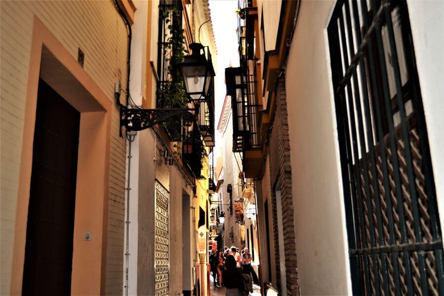 Seville: Plaza de Toros and Barrio Santa Cruz Tour - Key things you’ll notice on this Seville tour