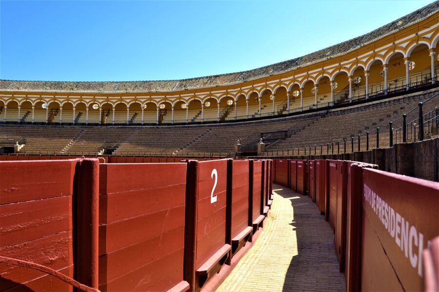 Seville: Plaza de Toros and Barrio Santa Cruz Tour - Museo Taurino: why the museum stop changes the whole visit