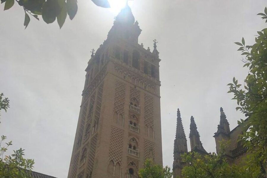 Seville: Private custom tour with a local guide - Your guide sets the tone in Seville