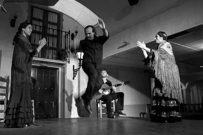 Seville Pure Flamenco Tour - Who this Seville flamenco tour fits best