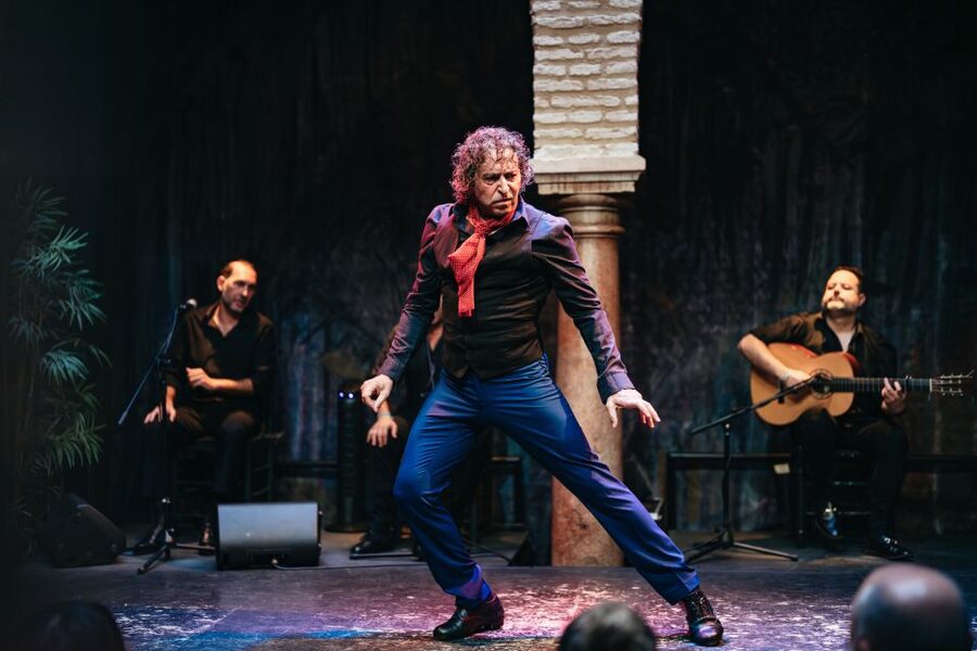 Seville: Puro Flamenco Show with Optional Museum Ticket - Who this flamenco night is perfect for