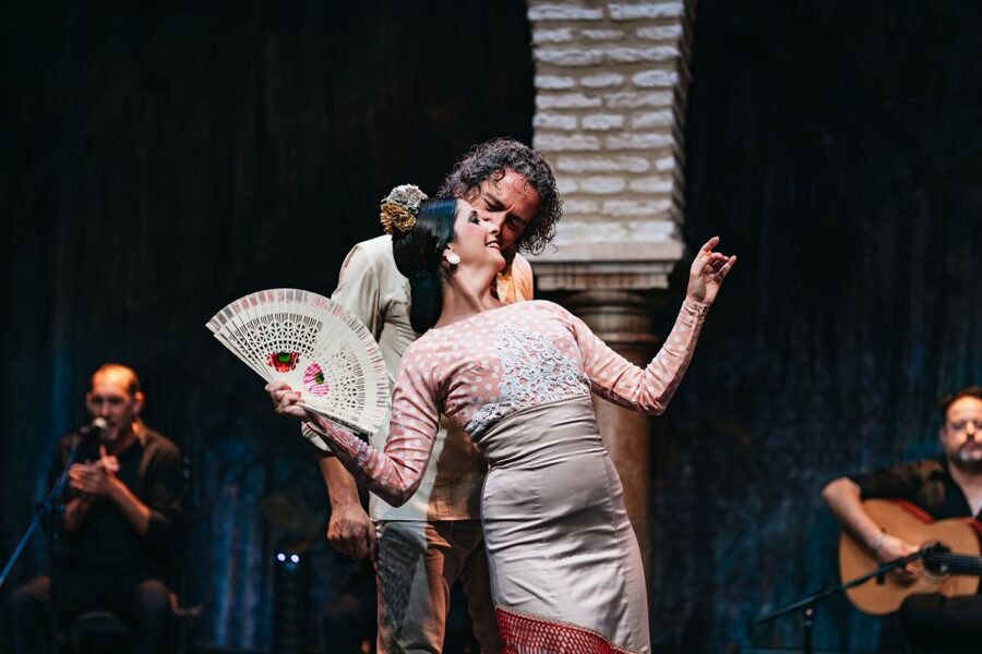 Seville: Puro Flamenco Show with Optional Museum Ticket - Puro Flamenco in Seville: A historic courtyard where flamenco feels close