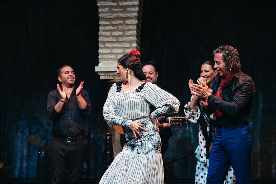 Seville: Puro Flamenco Show with Optional Museum Ticket - The optional museum add-on: a better way to appreciate what you’re seeing
