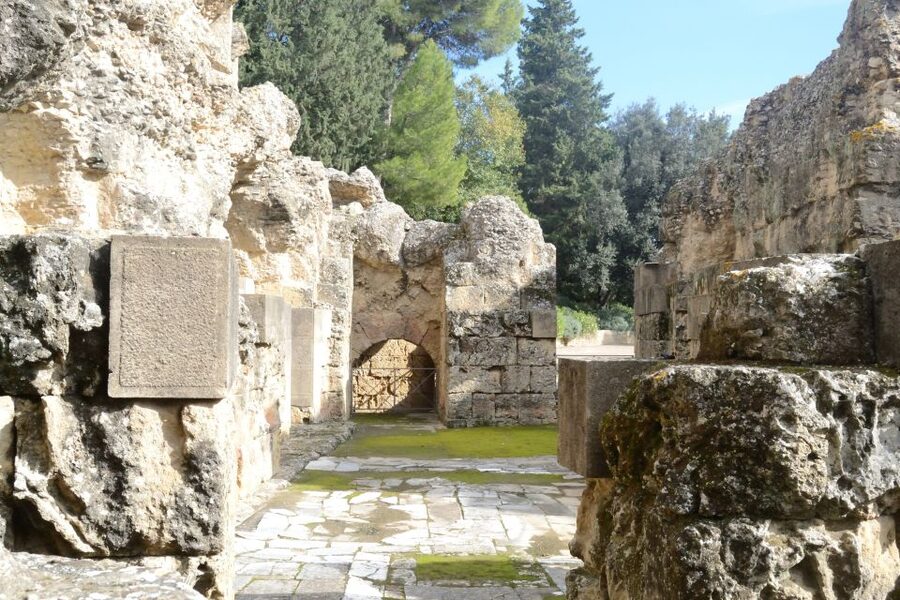 Seville: Roman City of Itálica 2 Hour Tour - Meeting at Santiponce and Planning a Smooth Start