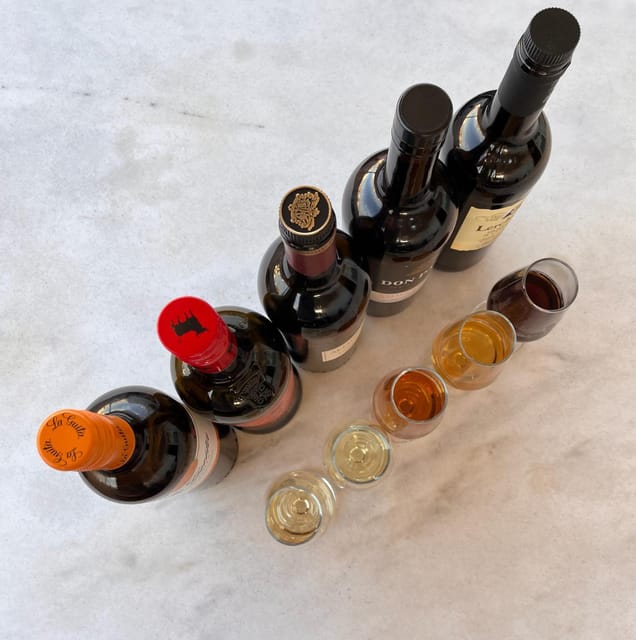 Seville: Sherry Wine Tasting with Light Snacks - The 1.5-hour flow: what happens from start to finish