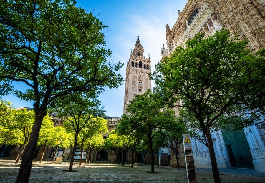 Seville: Small-Group Cathedral and Giralda Tour with Tickets - The Giralda climb: 34 ramps, Moorish origins, and city views