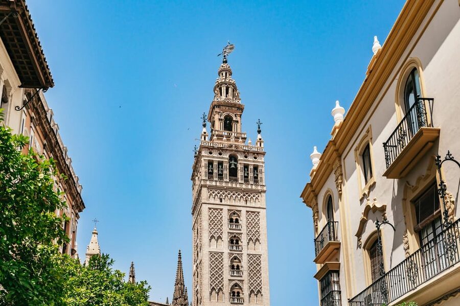 Seville: Tapas, Taverns and History Guided Walking Tour - Price, Food Amounts, and the Tips That Make It Worth the $99