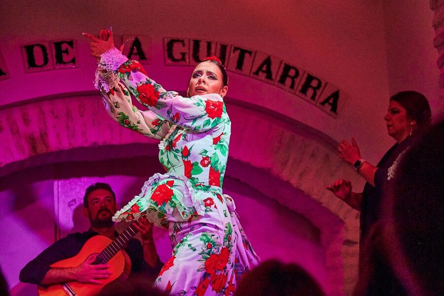 Seville: Ticket to Flamenco Show at La Casa de la Guitarra - What to Expect During the Night: Flow, Timing, and Real-World Comfort