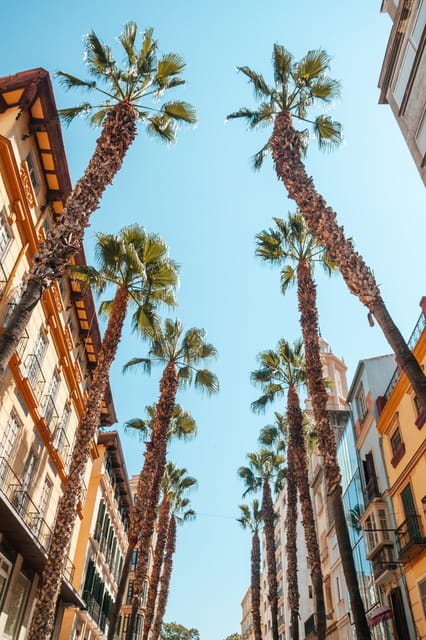 Seville: Transfer to Málaga with visit to Ronda - Key highlights that make this transfer worth it