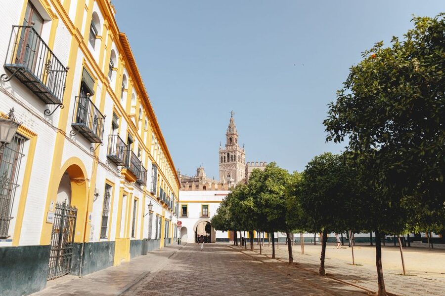 Seville: VIP Exclusive Early Access Tour of The Alcazar - Where you meet and how the tour starts in real life