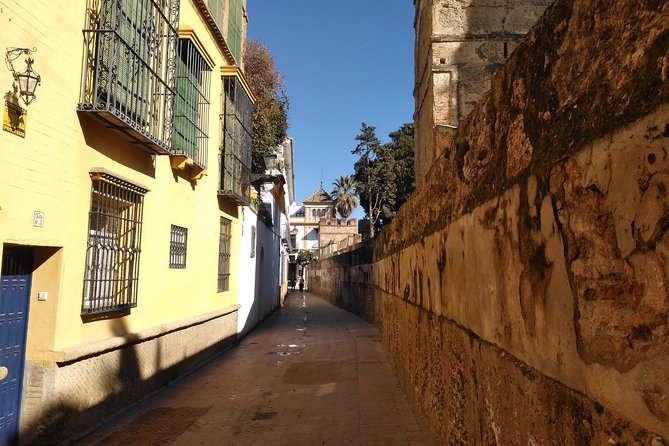 Seville, walk through the heart of the city - Barrio Santa Cruz: The Best Time Slot for Getting Lost (On Purpose)