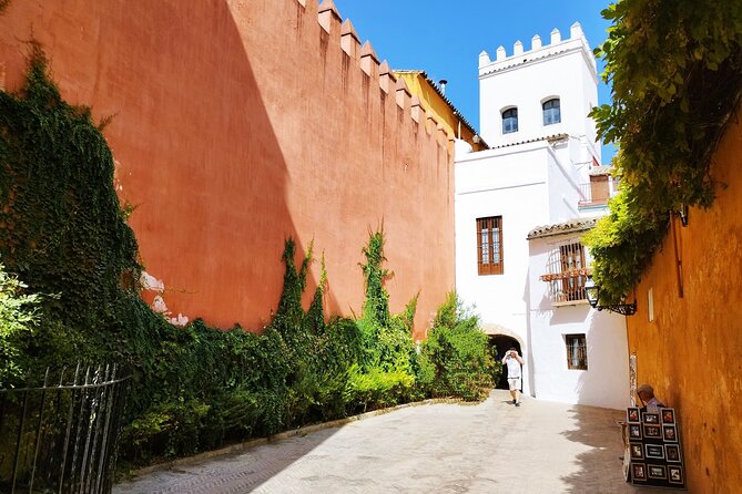 Seville Walking Tour Stories by a Local Guide - Plaza de Santa Cruz to the Cathedral area: neighborhood vibe and big landmarks