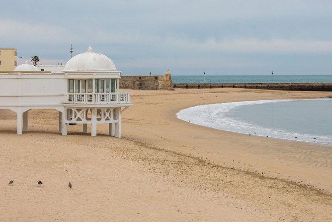Sightseeing Day-Trip to Cadiz and Jerez from Seville - Cadiz Stops You’ll Actually Feel: Cathedral, Genoves Park, La Caleta, and neighborhoods