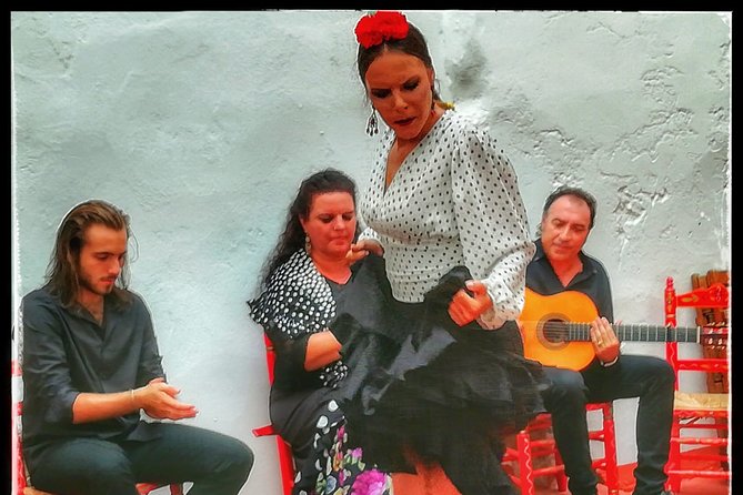 Skip the Line: Tablao Flamenco Pura Esencia Ticket - Language and expectations: how much English you should realistically plan for