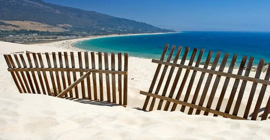 Spain's Best Beaches: Day-Trip from Seville - Back to Seville via Ruta del Toro and bull country