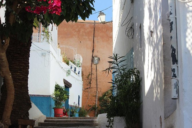 Tangier Day Trip from Seville with Lunch Included & Local Guide - The ferry return and re-entry hassle: why it can feel like the final boss