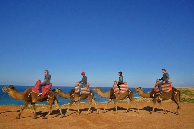 Tangier in Morocco private tour from Seville all inclusive - Lunch and Free Time: Where the Day Can Feel Smooth or Rushed
