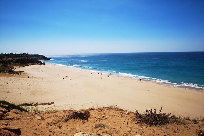 Tangier (Morocco) Day Trip from Seville with Local Guide - Getting back to Seville late: plan your night around it