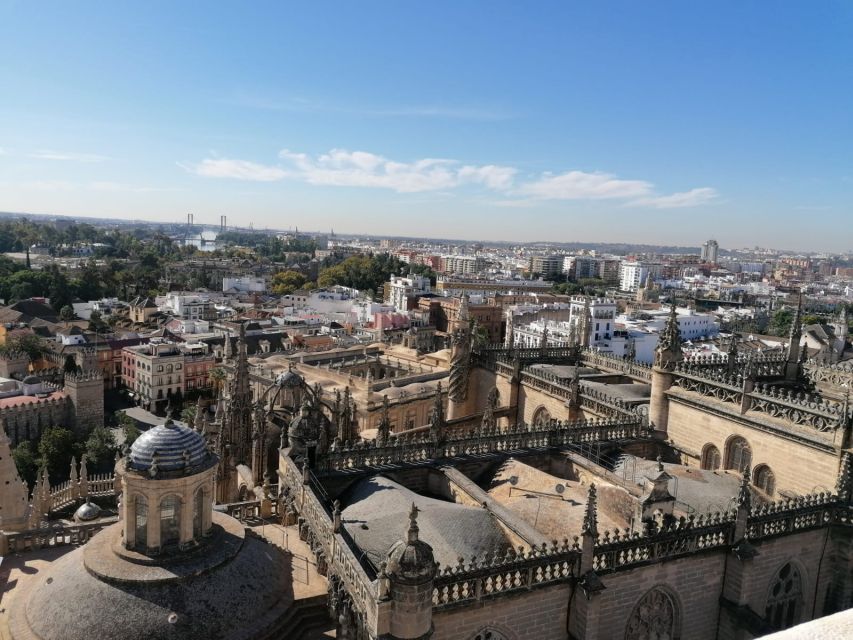 The Best of Seville: Private 2,5 Hour Walking Tour - City Hall, Torre del Oro, and the Maestranza bullring: power, strategy, spectacle