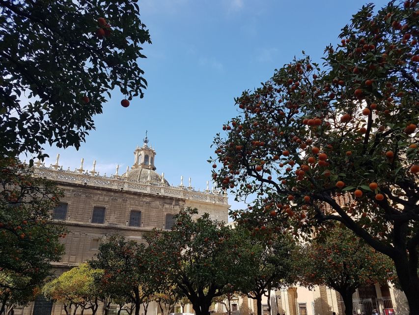The Best of Seville: Private 2,5 Hour Walking Tour - Hospital de la Caridad: Baroque charity you can spot without tickets